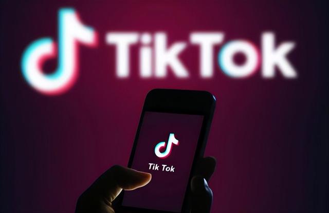 TikTok如何对广告进行排名？tiktok广告投放排名插图