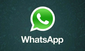 WhatsApp怎么加好友？不添加联系人使用whatsapp发送信息的方法插图