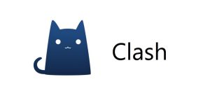 clash for windows怎么设置中文？插图