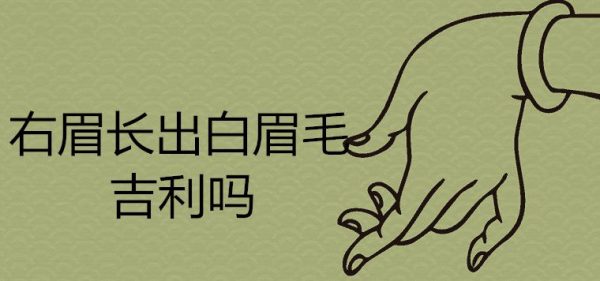 右眉长出白眉毛吉利吗 能拔吗