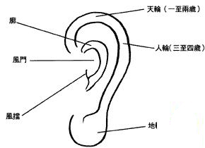 「女人耳朵上长痣」外耳轮长痣面相图 好的耳朵面相