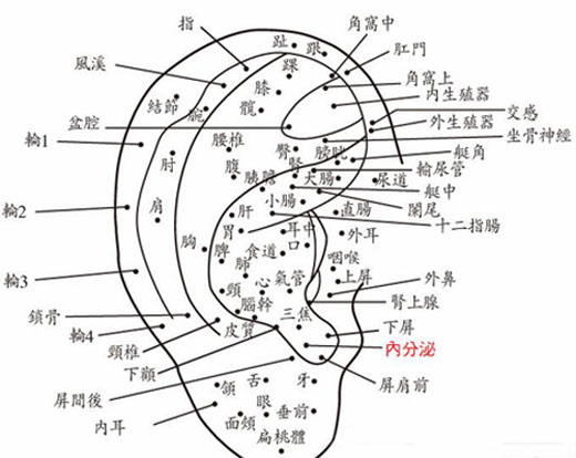 耳朵上长痣面相好不好