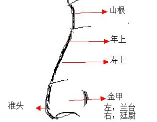 女人鼻子上有痣相好不好